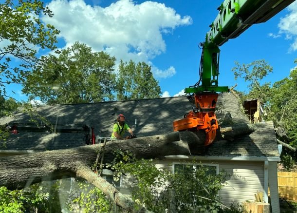 Crane removing a large tree that fell onto a home's roof