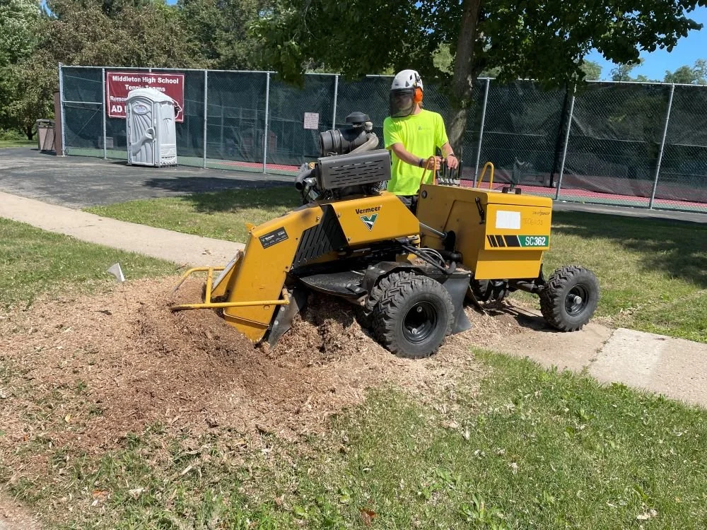 Stump grinder shaving down a tree stump to below ground level